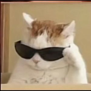 Meet your Posher, Alexa